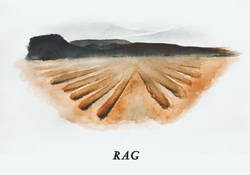 2022 Grenache